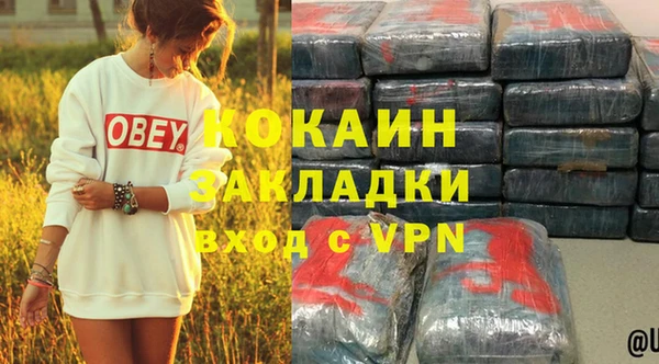 хмурый Лиски
