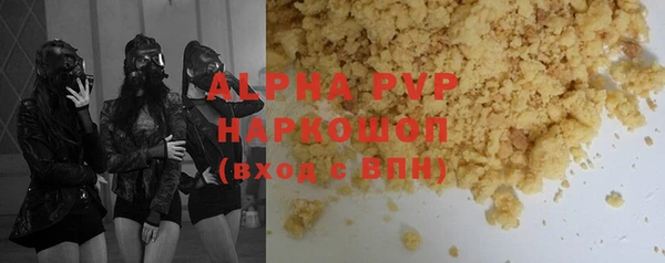хмурый Магас