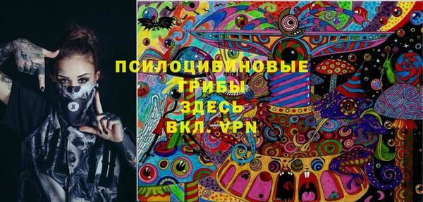 хмурый Лиски