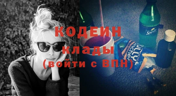 хмурый Лиски