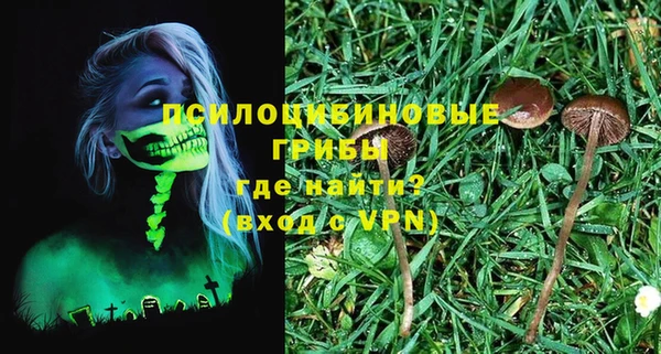 ГАЛЛЮЦИНОГЕННЫЕ ГРИБЫ Лихославль
