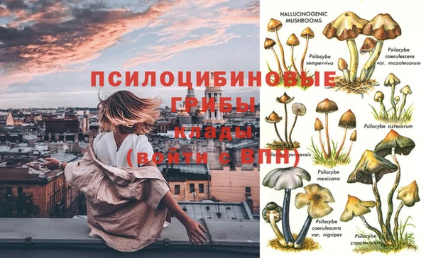 ГАЛЛЮЦИНОГЕННЫЕ ГРИБЫ Лихославль