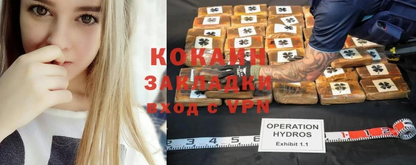 хмурый Лиски