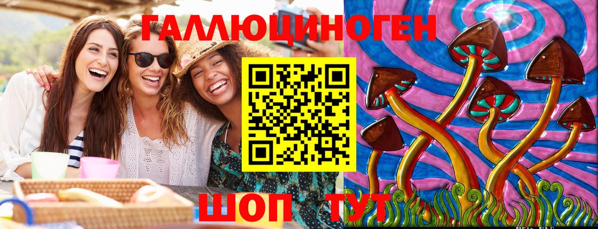 Галлюциногенные грибы Psilocybine cubensis Чайковский