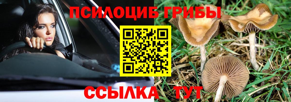 Псилоцибиновые грибы MAGIC MUSHROOMS  Псилоцибиновые грибы ЛСД  Вход с VPN  Чайковский 