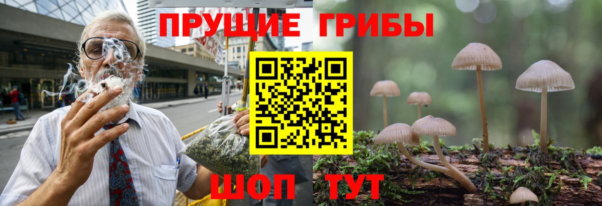 Галлюциногенные грибы мицелий Чайковский